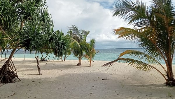 Foto van  